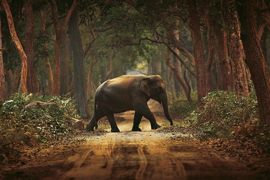 Lakhimpur Kheri
