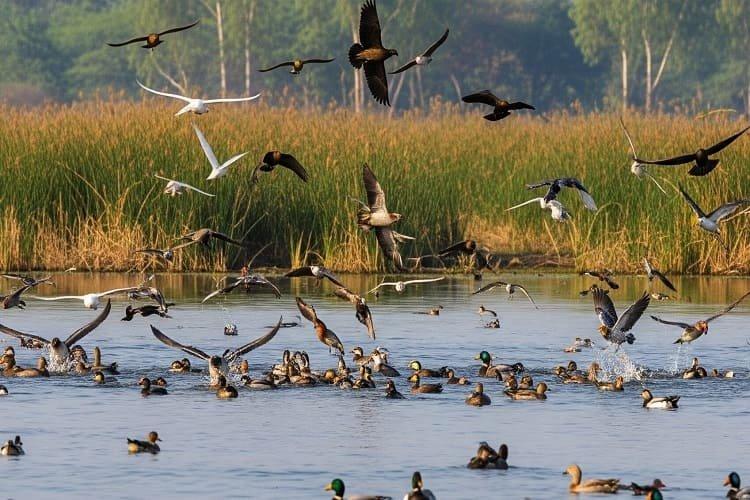 Lakhimpur Kheri