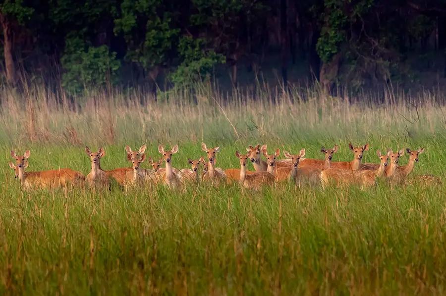 Lakhimpur Kheri