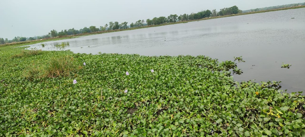 Lakhimpur Kheri