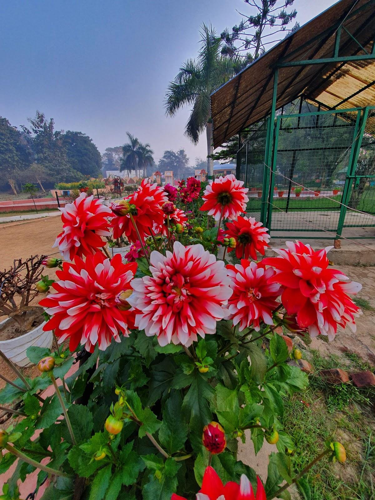 Raebareli