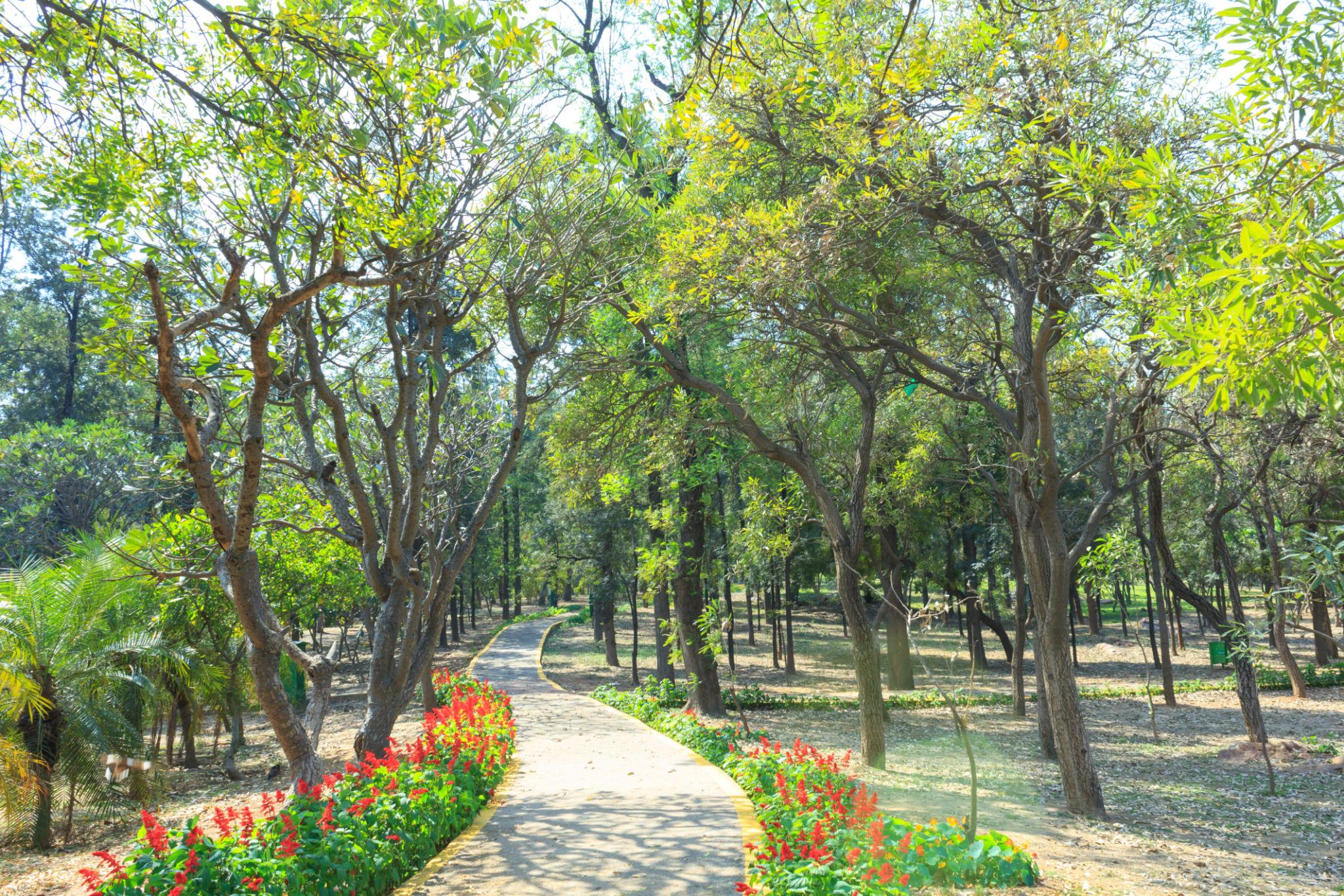 Raebareli