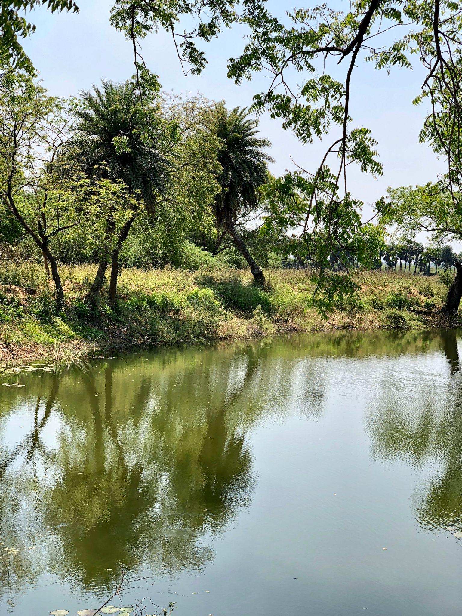 Raebareli