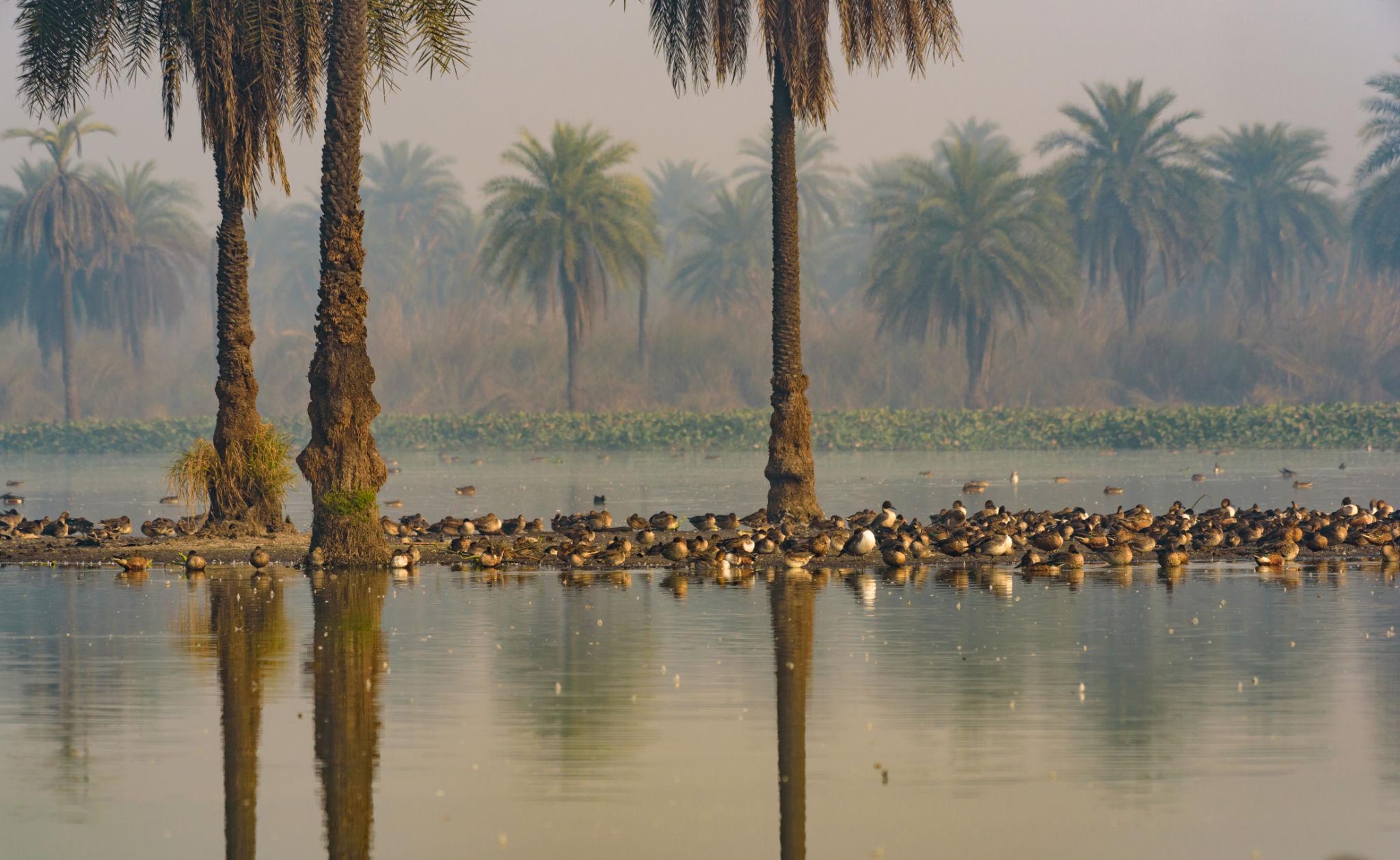 Raebareli